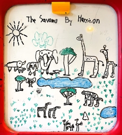 Savana Image
